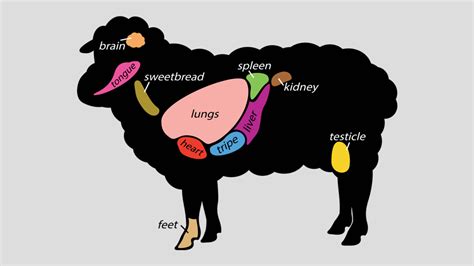 What Are Sweetbreads? Types, Nutrition, & How to Eat Them