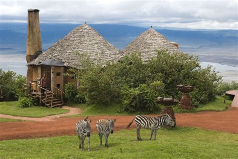 Tanzánie – Ngorongoro Crater Lodge – zebry