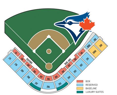 Dunedin Blue Jays Stadium Seating Chart | Printable Templates Free