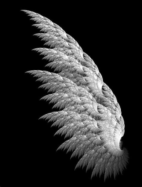 and a fractal pegasus ? | Angel wings art, Angel wings pictures, Wings ...