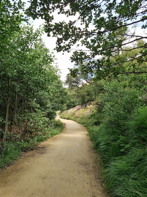 Derwent Reservoir and Slippery Stones Walk | 10 Miles