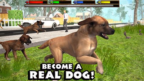 Ultimate Dog Simulator: Amazon.ca: Appstore for Android