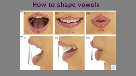 Diction for Singers A Complete Guide to IPA How are vowels shaped ...