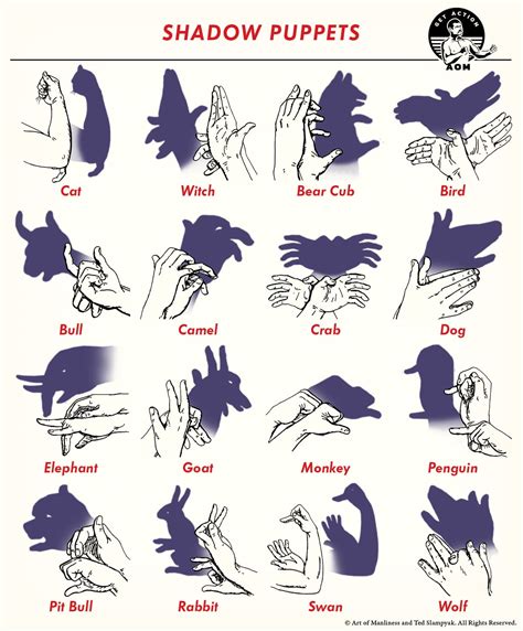 Shadow Puppets : r/LearnUselessTalents