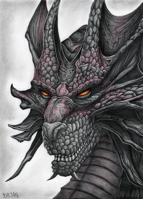 Dragon Drawing by Bajanoski on DeviantArt