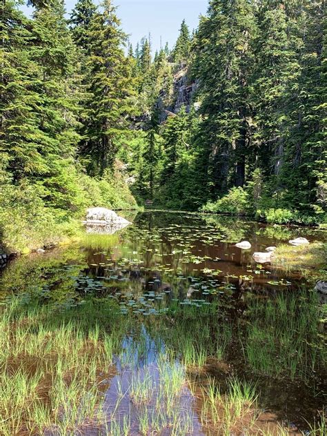 Eagle Bluff Trail - British Columbia, Canada | AllTrails