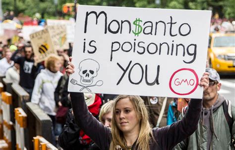 Conflating GMOs with Monsanto stifles development of new, innovative ...