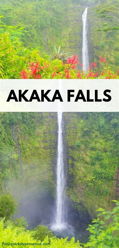 Akaka Falls State Park 🌴 Best way to hike the Akaka Falls trail for the ...