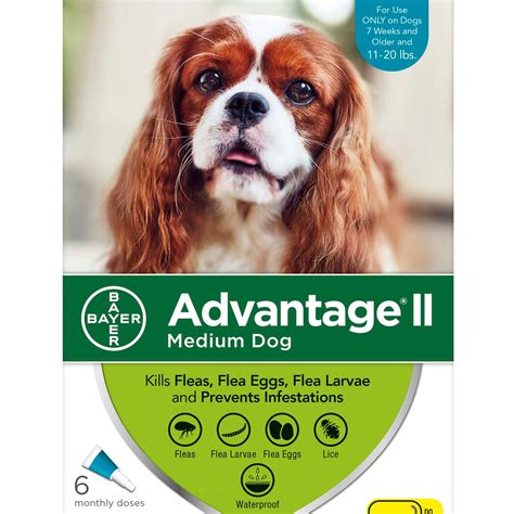 Advantage II Once-A-Month Topical Flea Treatment for Dogs & Puppies 11 ...