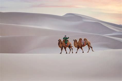 Geo Explainer: The Gobi Desert - Geographical