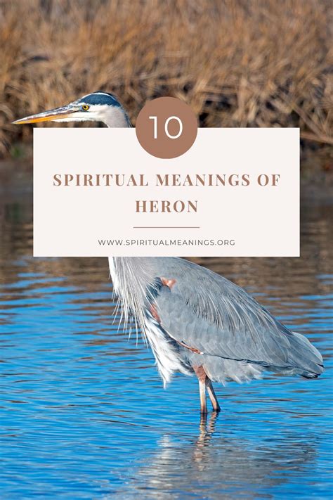 10 Spiritual Meanings of Heron (Symbolism) - SpiritualMeanings.org