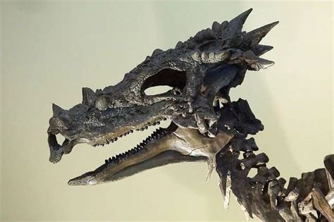 Meet Dracorex Hogwartsia, The Most Amazing Dinosaur You’ve Never Heard ...