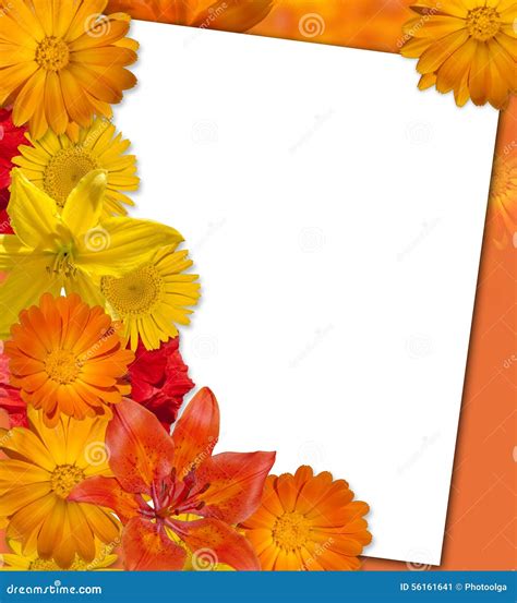 Bright Orange Flower Background. Autumn Background Stock Illustration ...