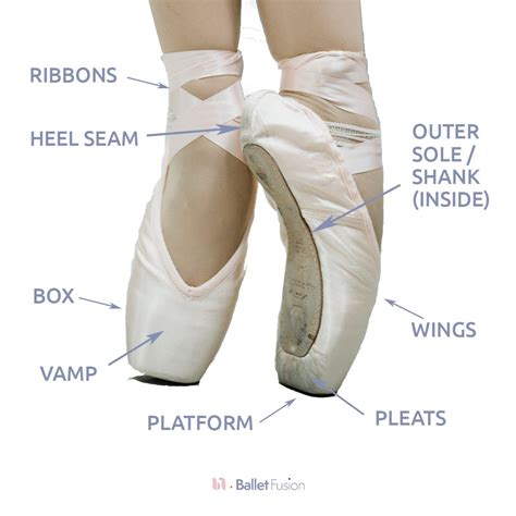 Anatomy of a Pointe Shoe — Ballet Fusion