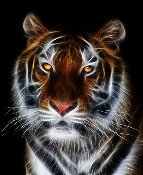 5.95AUD - Abstract Tiger Canvas Print A4 Size (297 X 210Mm) ! #ebay # ...