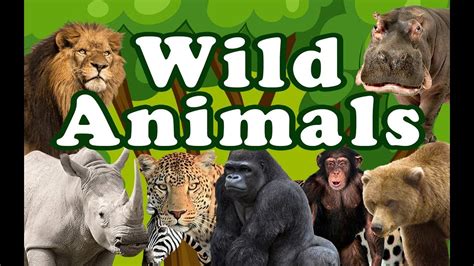 wild animals for kids Animals wild kids animal vocabulary children ...