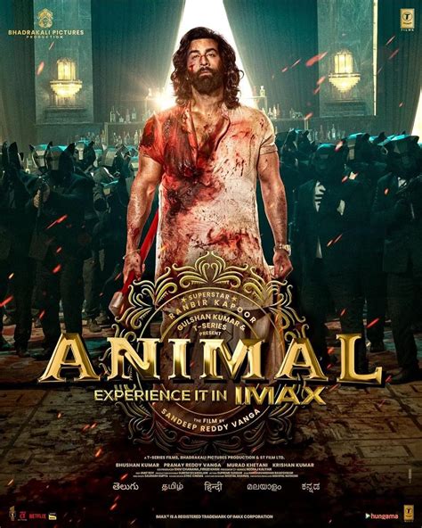 Download Animal (2023) Hindi Full Movie NF WEB-DL 480p [450MB] | 720p ...