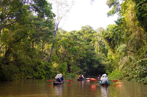 Amazon Kayaking Tours Lodge Based Kayak Trips