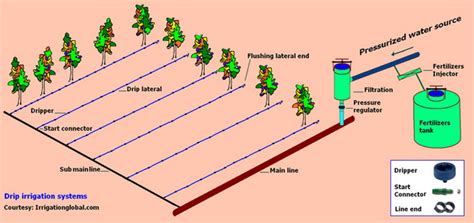 Irrigation System Plan And Design