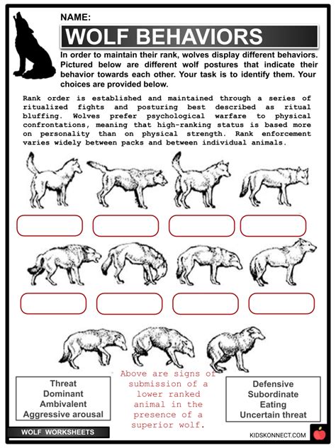 Wolf Facts, Habitat, Behavior, Diet Facts & Worksheets | KidsKonnect