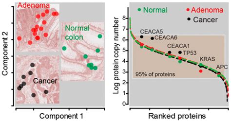 Latest from the Human Proteome Project Virtual Issue