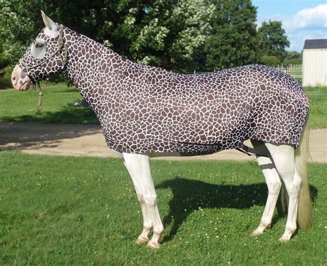 Costumes for Horses Big Game Animal. Be a giraffe, tiger or zebra!