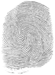 Ulnar Loop Fingerprint