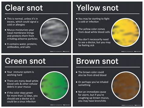 What Color Is Mucus Supposed To Be - Fisher Janis