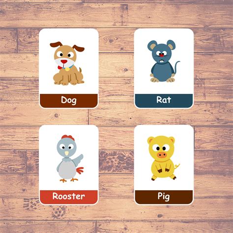 CHINESE ZODIAC SIGNS - Flashcards | Montessori | Educational | Learning ...