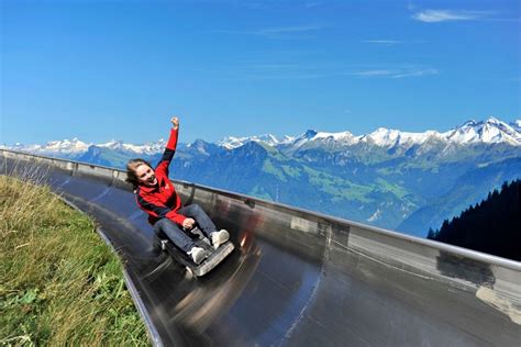 11 Best Mountain Coasters In Switzerland