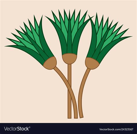 Papyrus plant shaft of ancient egypt Royalty Free Vector