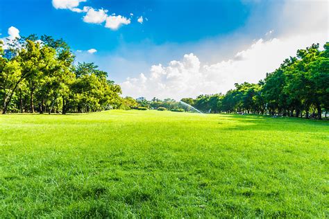 Green trees in beautiful park over blue sky Photograph by Pitchaphan ...