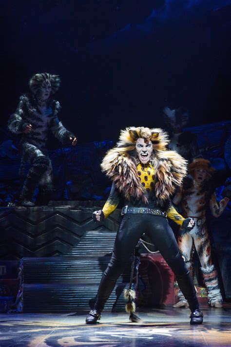 Cats Broadway Cast 2016 - It's Time to Follow the Cats Broadway Revival ...