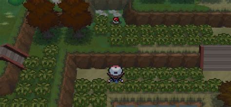 Where To Get TM86 Grass Knot in Pokémon Black & White - Guide Strats