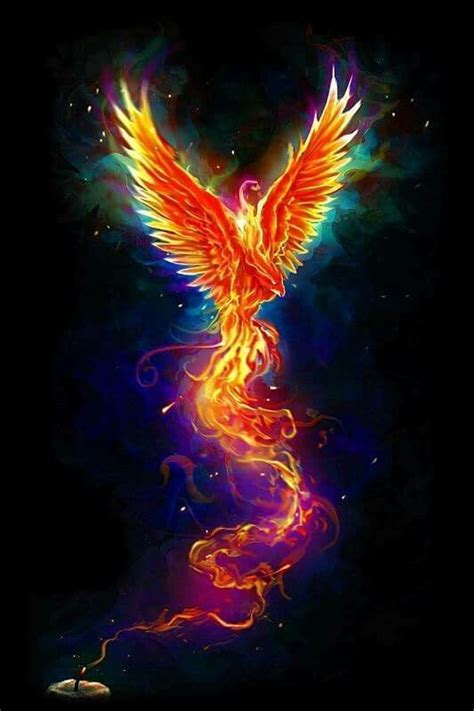 Pin Image by Zupedia | Phoenix artwork, Phoenix bird art, Phoenix art