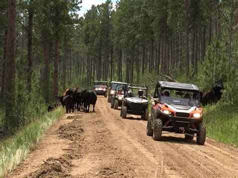 Best ATV/UTV Trails In the Black Hills of South Dakota