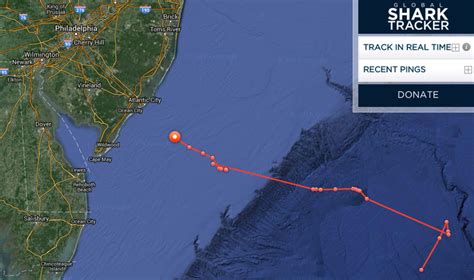 Great White Shark Tracking Map Atlantic - Maping Resources