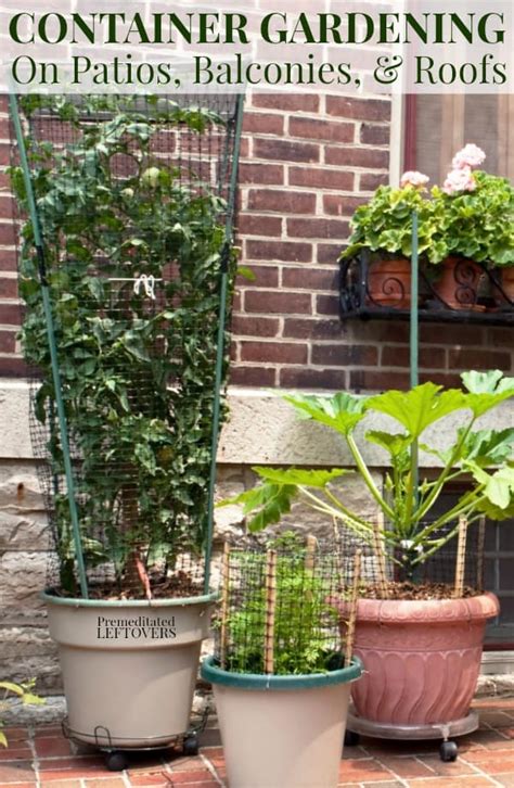 How to Start Container Gardening in Small Spaces