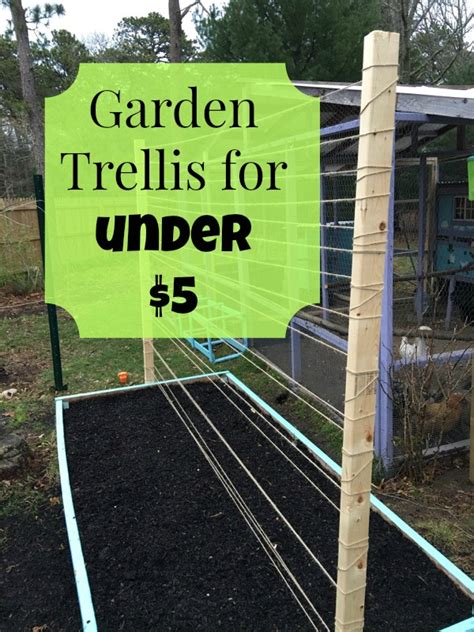 Raised Bed Trellis for Under $5 - The Cape Coop