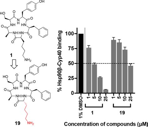 Structure of the molecules with L-lysine (1) to D-lysine (19) and the ...