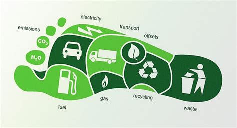 How can you reduce your carbon footprint without compromising on your ...