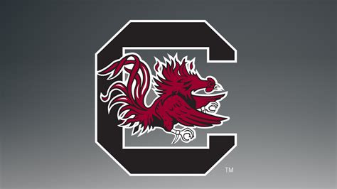 South Carolina Gamecocks Football Wallpapers - WallpaperSafari