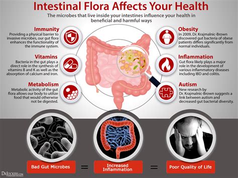 6 Steps to Rebuild Gut Flora Metabolism - DrJockers.com