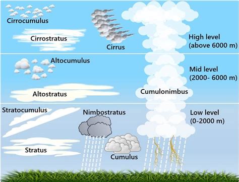 What is Cloud Formation? Cloud, Fun Facts, Process & Types - Biology Reader