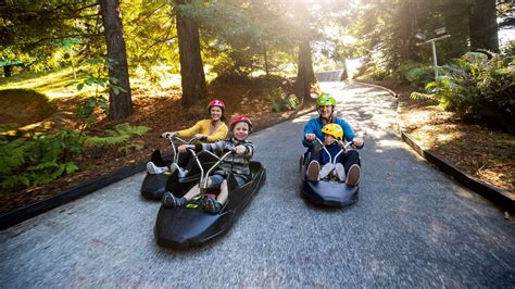 Skyline Rotorua Gondola & Luge Package | Rotorua NZ