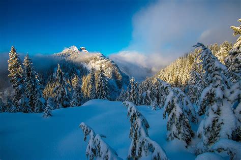 壁紙、カナダ、冬、山、森林、風景写真、North Shore Mountains Vancouver British Columbia、雪 ...