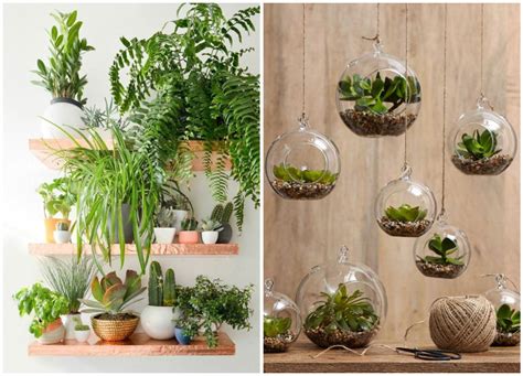 Decorate your home with indoor plants, 5 easy home decor ideas ...