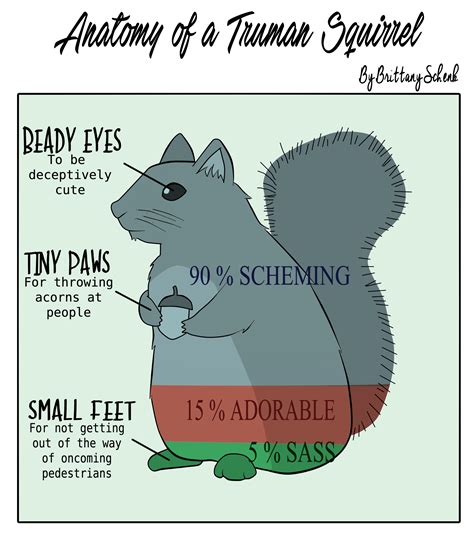 Web Comic: Anatomy of a Truman Squirrel – Truman Media Network