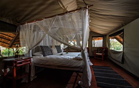 Pungwe Safari Camp - Manyeleti Game Reserve Accommodation