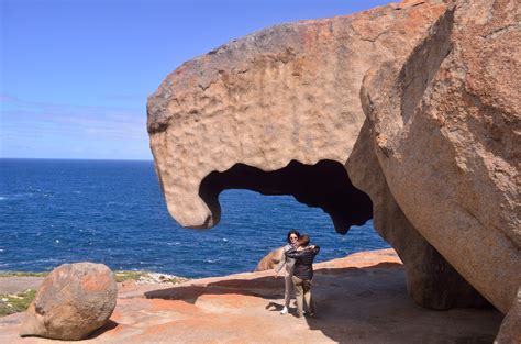 Sighting wildlife and birds at Kangaroo Island